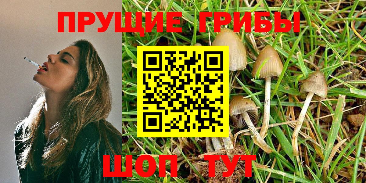 Псилоцибиновые грибы Cubensis  Галлюциногенные грибы Cubensis  Семёнов  купить наркотики сайты  Вход с VPN 